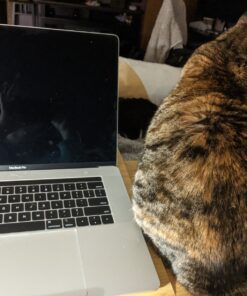 Laptop Desk Nnewvante Table Adjustable Bamboo Foldable Breakfast Serving Bed Tray w' Tilting Top Drawer 21.6" 61 81jk4ApPJKL