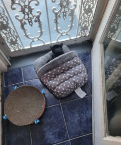 Hill's Pet Nutrition Science Diet Dry Cat Food, Adult, Chicken Recipe, 4 lb. Bag 50 81jkJUOGtKL