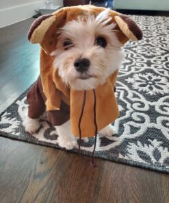 Rubie's Star Wars Ewok Pet Costume, Small S (Neck: 12", Girth: 17", Back: 11") 1 37 81jlN7RIIgL