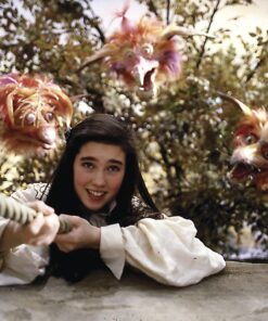 Labyrinth DVD October 5, 1999 7 81joyMIcxyL