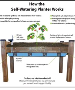 CedarCraft Self-Watering Elevated Cedar Planter (23" X 49" X 30") - Grow Fresh Vegetables, Herb Gardens, Flowers & Succulents. Raised Garden Bed for a Deck, Patio or Yard Gardening. No Tools Required. 23x49x30" 19 81jpn8kdbL