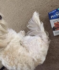 PetArmor for Dogs, Flea and Tick Treatment for Small Dogs (5-22 Pounds), Includes 3 Month Supply of Topical Flea Treatments 3 Count 5-22 lbs 45 81jrZLaB1XL