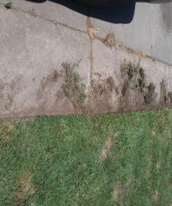 Fiskars Square Garden Spade Shovel - 46" - Steel Flat Shovel with D-Handle - Garden Tool for Digging, Lawn Edging, Pruning - Heavy Duty Weed Puller Tool - Black/Orange 45 81jsJjQEBlL