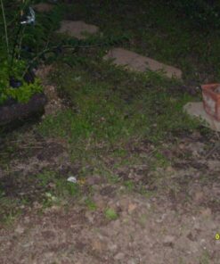 Easy Gardener 21041MJ 3-Foot by 50-Foot 15 Year Landscape Fabric 21 81juT0RXzL