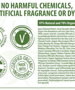 LuxeOrganix Purifying Organic Face Wash for Oily Skin with Bamboo Charcoal, Vitamin C, Aloe Vera, and Silicone Scrubby (5 oz) 23 81jvdKGP6kL