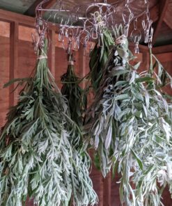 Pro Chef Kitchen Tools Clothes Drying Rack - Round Clothing Racks - Laundry Portable Clothesline Includes 18 Metal Clothespins Hanger Clips Set - Baby Clothes Storage Closet - Herb Hanging Air Dryer 32 81jw1zCoxoL