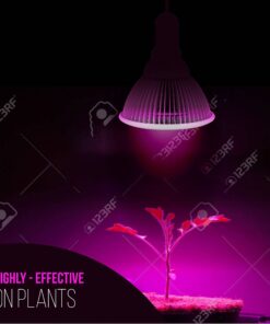 Indoor LED Grow Light Bulbs w/ Clamp Reflector (12W) Efficient Greenhouse Red & Blue Hydroponics Lighting | Produce Healthier Plants, Herbs, Flowers 29 81jwQ7ncAiL