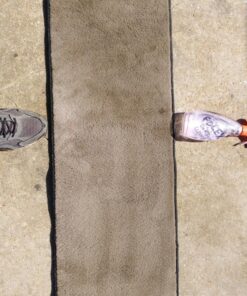 Folex Instant Carpet Spot Remover, 128oz Odor Free 128 Fl Oz (Pack of 1) 31 81k0BZ5HCxL