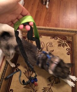 Tuff Mutt Hands Free Dog Leash For Running That Makes A Great Waist Leash for Dog Walking, Double Handle Bungee Leash with Reflective Stitching and Adjustable Dog Walking Belt green/gray 36 81k1x3JQbnL