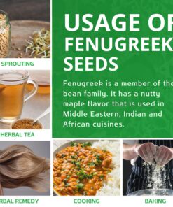 Jiva Organic Fenugreek Seeds 7 Ounce – Non-GMO, Gluten Friendly, All Natural Fenugreek Spice – Organic Fenugreek Seeds for Hair Growth, Cooking & Sprouting - Methi Seeds for Methi Dana Water 27 81k6uAo VoL