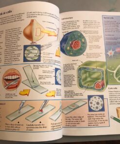 AmScope M162C-2L-PB10-WM-SP14-50P100S 40X-1000X Beginners Microscope Kit for Kids & Students w/Complete Science Accessory Kit + World of The Microscope Book 57 81kANZpPEQL 1