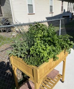 VegTrug 8 Pocket Herb Garden Brown 59 81kEq8EvlBL