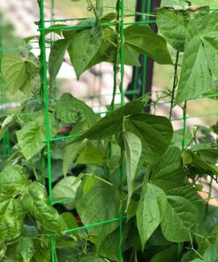 Panacea Products (83712) 46" x 18" A Frame Light Green Trellis 1 11 81kI uLrPBL