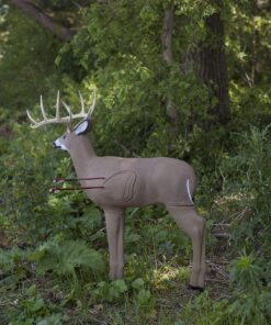 Shooter Buck 3D Deer Archery Target 3-D Buck Target 23 81kKTN3i4pL