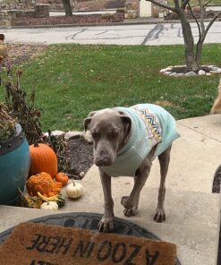 BUBBAS Super Strength Enzyme Cleaner - Pet Odor Eliminator - Carpet Stain Remover - Remove Dog & Cat Urine Odor from Mattress, Sofa, Rug, Laundry, Hardwood Floors and more. Puppy Training Supplies 32 Fl Oz (Pack of 1) 26 81kL4GLAs8L