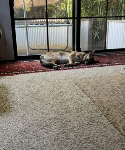 Lint Rollers Pet Hair Value Pack of 450 Sheets / 5 Refills, Sticky Roller Pet Hair, Lint Remover Dog Hair, Cat Hair, Fuzz, Animal Fur, Large Lint Removal Roller Clothe, Couch, Furniture. Stick Roller White 15 81kPFZxZ9L