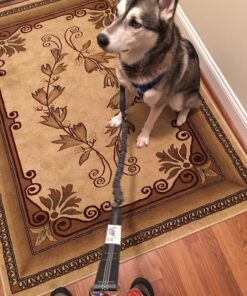 Tuff Mutt Hands Free Dog Leash For Running That Makes A Great Waist Leash for Dog Walking, Double Handle Bungee Leash with Reflective Stitching and Adjustable Dog Walking Belt green/gray 37 81kQRLW4 LL