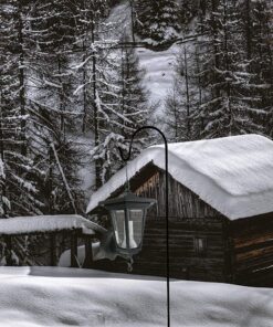 Ashman Shepherds Hook 10 Pack Black, 35 Inches Tall, Made of Premium Metal for Hanging Solar Light, Bird Feeders, Mason Jars, Garden Stake and Wedding Décor. 24 81kQxtxnOrL