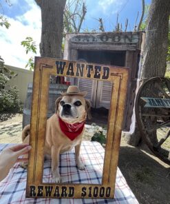 Beistle Wanted Photo Booth Fun Selfie Frame Western Party Supplies, 15.5" x 23.5", Multicolored 26 81kRiQnkML