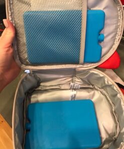 Bentgo Ice Lunch Chillers - Ultra-Thin Ice Packs Perfect for Everyday Use in Lunch Bags, Lunch Boxes and Coolers - 4 Pack (Blue) Blue 33 81kTyHGnNTL