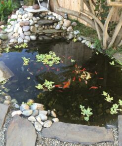 Predator Guard Solar Powered Predator Deterrent LED Light - Scares & Deters Nocturnal Animals Away, Built to Repel Coyote, Fox, Skunk, Bear, Racoon & Wild Creatures - Protect Your Property! 1 37 81kUAoCHiZL