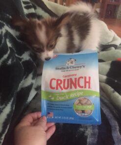 Stella & Chewy's Freeze-Dried Raw Carnivore Crunch Cage-Free Duck Recipe Dog Treats – 3.25 oz. Bag 3.25 Ounce (Pack of 1) 37 81kUjzatPJL 1