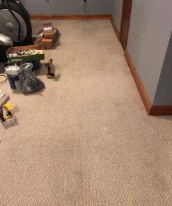 Blue Magic 900 Carpet Stain & Spot Lifter - 22 oz. Aerosol Can 37 81kXqjeTWqL