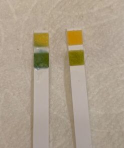 pH Test Strips 4.5 to 9.0 (200 ct) for Urine and Saliva Body pH Testing. Urinalysis Reagent Test Strips for Acidity and Alkalinity. Alkaline Diet Food and Acid pH Testing 34 81kYfeoa mL