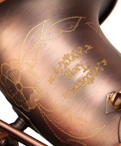 GLORY High Grade Antique Finish Series PR1, E Flat Alto Saxophone with 11reeds,8 Pads Cushions,case,carekit 16 81kZJyecd L