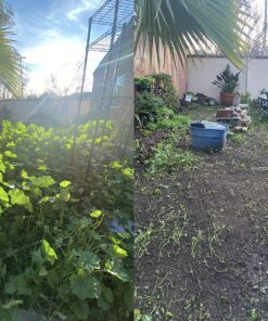 Japanese Weeding Sickle Very Sharp Edge Quick Work (Full Size) 31 81kaa94tOmL