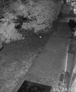 FOSCAM Outdoor Security Camera,G4 Full HD 4MP 2K WiFi Security Camera, Alexa Compatible, AI & Motion Detection, Free Cloud Service Included, 65ft Night Vision IP66 Weatherproof,Black 4MP Black 41 81kb7HTe8TL