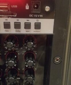 Ankuka Karaoke Machine, Portable Bluetooth Speaker with Disco Lights,Subwoofer PA System with 2 Wireless Microphones for Christmas,Birthday Party 42 81kbkySv5EL