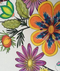 Derwent Coloured Pencils, Inktense Ink Pencils, Drawing, Art, Metal Tin, 72 Count (2301843) (Packaging May Vary) 50 81kcFzQWjnL