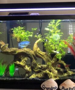 Hikari Bacto-Surge High Density Foam Filter, Large 27 81kcwatxiVL