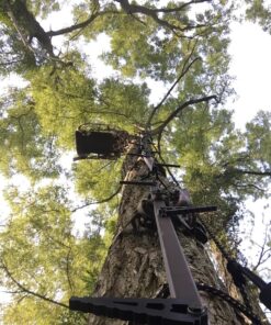 Hunter Safety System Reflective Lifeline for Tree-Stand Hunting Safety Harness 3-pack 31 81kd23MZmL