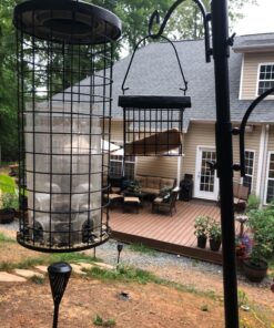 FORUP Suet Bird Feeder, Hanging Suet Feeder, Single Suet Cake Bird Feeder, One Suet Capacity 1 28 81ke1WdMgrL