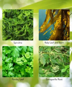 Nature's Sunshine Thyroid Activator 100 Capsules 12 81klydp6KmL