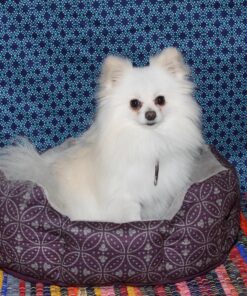 Artificial Grass Puppy Pee Pad for Dogs and Small Pets - 20x25 Reusable 3-Layer Training Potty Pad with Tray - Dog Housebreaking Supplies by PETMAKER Medium 3-Layer System 43 81kpJxN39L