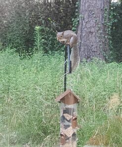 The Original Slinky Walking Spring Toy, Metal Slinky, Fidget Toys, Kids Toys for Ages 5 Up by Just Play 37 81kreszHWbL