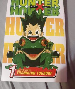 Hunter x Hunter, Vol. 1 Paperback 29 81kuJZqUa1L