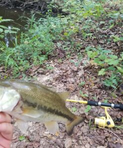 Eagle Claw PK56TS Pack-It Spin Combo Telescopic Rod (1 Piece), Yellow, 5-Feet 6-Inch 19 81kxsowpUwL