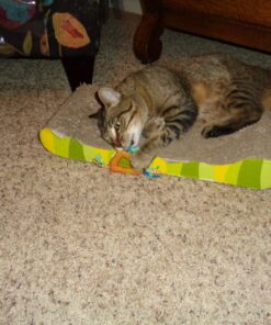 Petstages Dental Health Chews Pair Dental Chew 32 81kzEGpwAYL