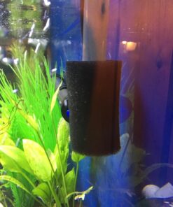 Zanyzap Pre-Filter Sponge 3 Pack for Fluval Edge Aquarium 36 81l34lxNQXL