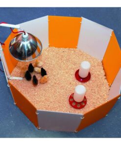 Alternative view of Farm Innovators 3700 Baby Chick Corral Starter Home Coop Kit with 10 Plastic Panels and Adjustable Brooder Lamp Hanger for Up To 15 Chicks