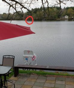 Bushnell Legend Ultra HD Roof Prism Binocular Black 10x42 41 81l5ZZytOL