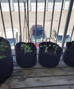 Smart Pot Soft-Sided Fabric Garden Plant Container Aeration Planter Pots, 5 Gallon, 5 Pack, Black 10 81l8d0nwPxL