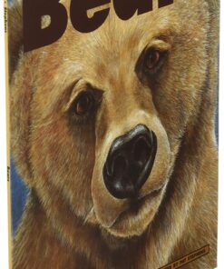 Bears: Polar Bears, Black Bears and Grizzly Bears (Kids Can Press Wildlife Series) 7 81lAZBqYuFL