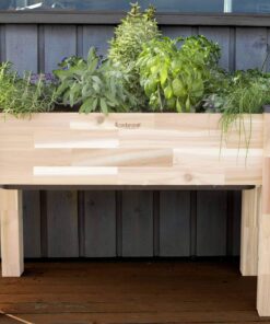 CedarCraft Self-Watering Elevated Cedar Planter (23" X 49" X 30") - Grow Fresh Vegetables, Herb Gardens, Flowers & Succulents. Raised Garden Bed for a Deck, Patio or Yard Gardening. No Tools Required. 23x49x30" 20 81lBFRBTrCL