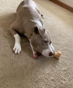 Nylabone Power Chew Knuckle Bone Big Dog Chew Toy Knuckle Chicken XX-Large/Monster (1 Count) XX-Large/Monster (1 Count) Natural 39 81lBMRaGTAL