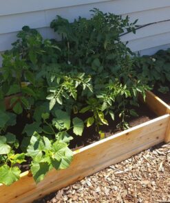 Greenes Fence 2 Ft. X 8 Ft. X 10.5 In Raised Garden Kit, Cedar 39 81lDlNedUFL